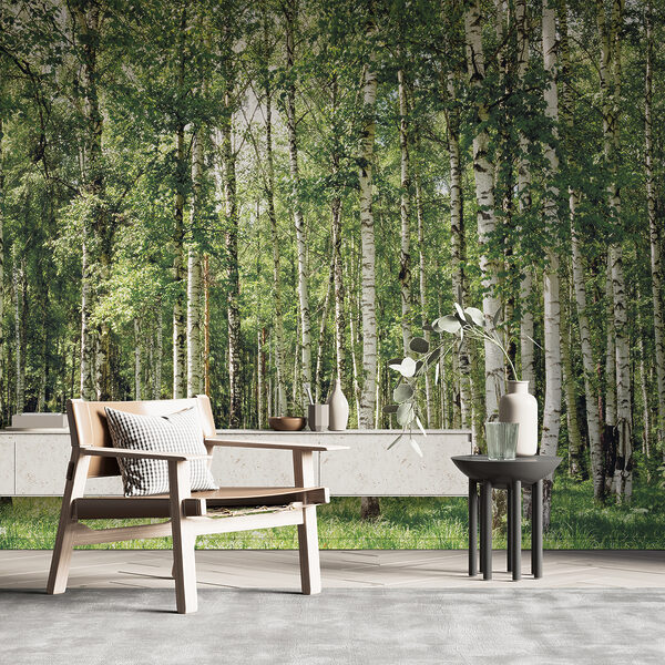 Group of trees in a forest