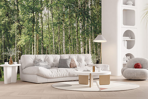 Group of trees in a forest