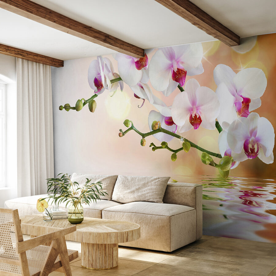 Białe orchidee na gałęzi z falami wody