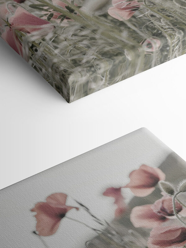 A field of pink flowers