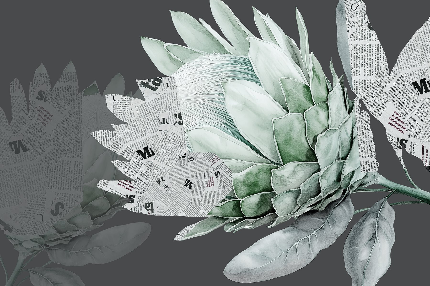 Artichoke with newspaper on it