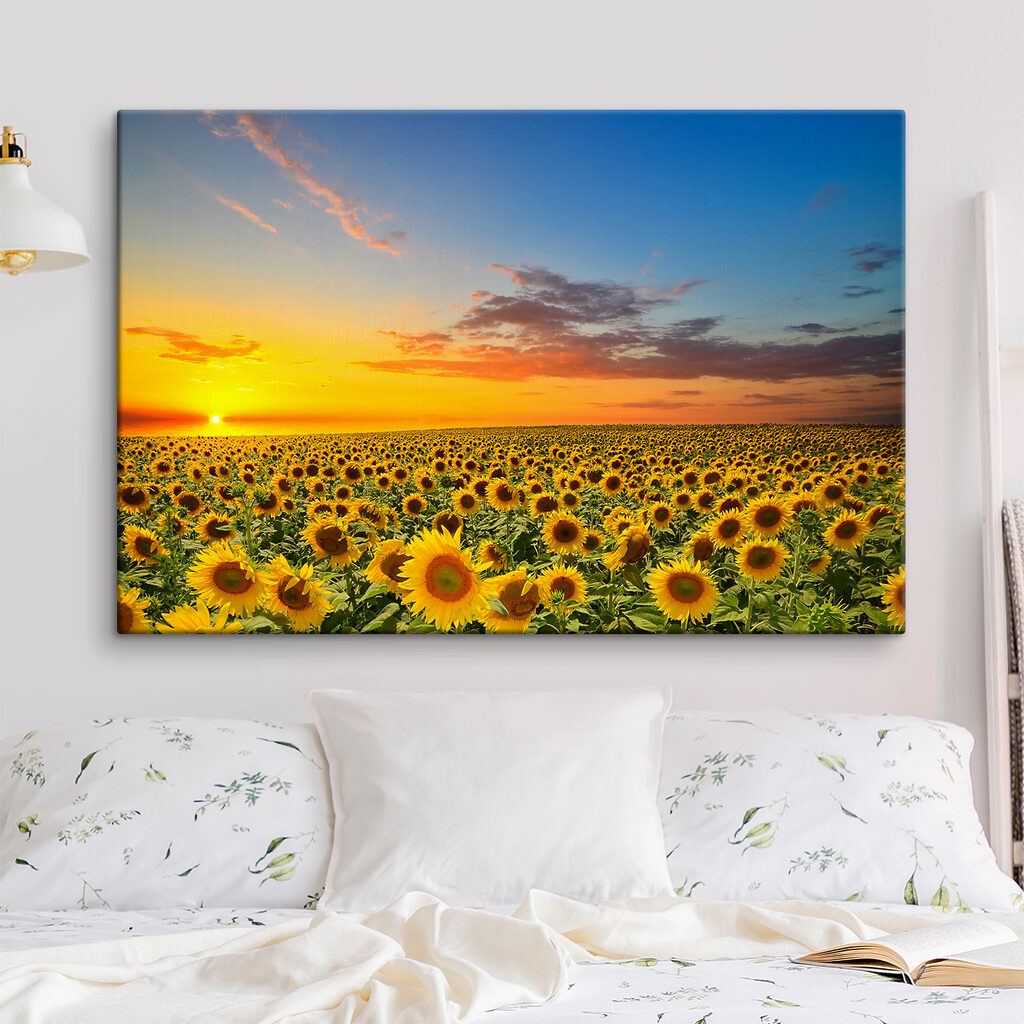 A field of sunflowers at sunset