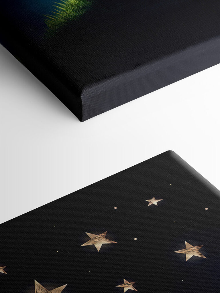 A fox and a little prince looking at stars A fox and a little prince looking at stars