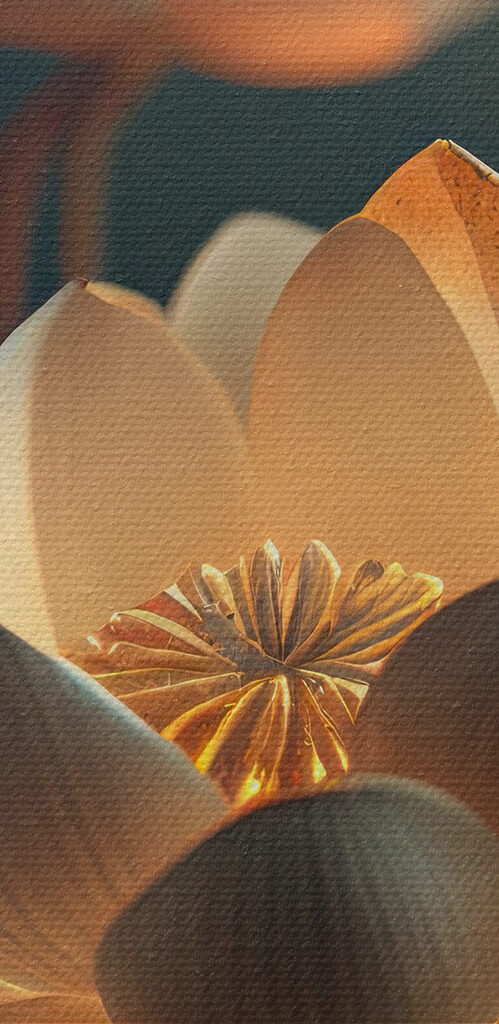 A white flower with yellow specks on it