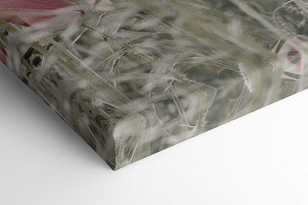 A field of pink flowers