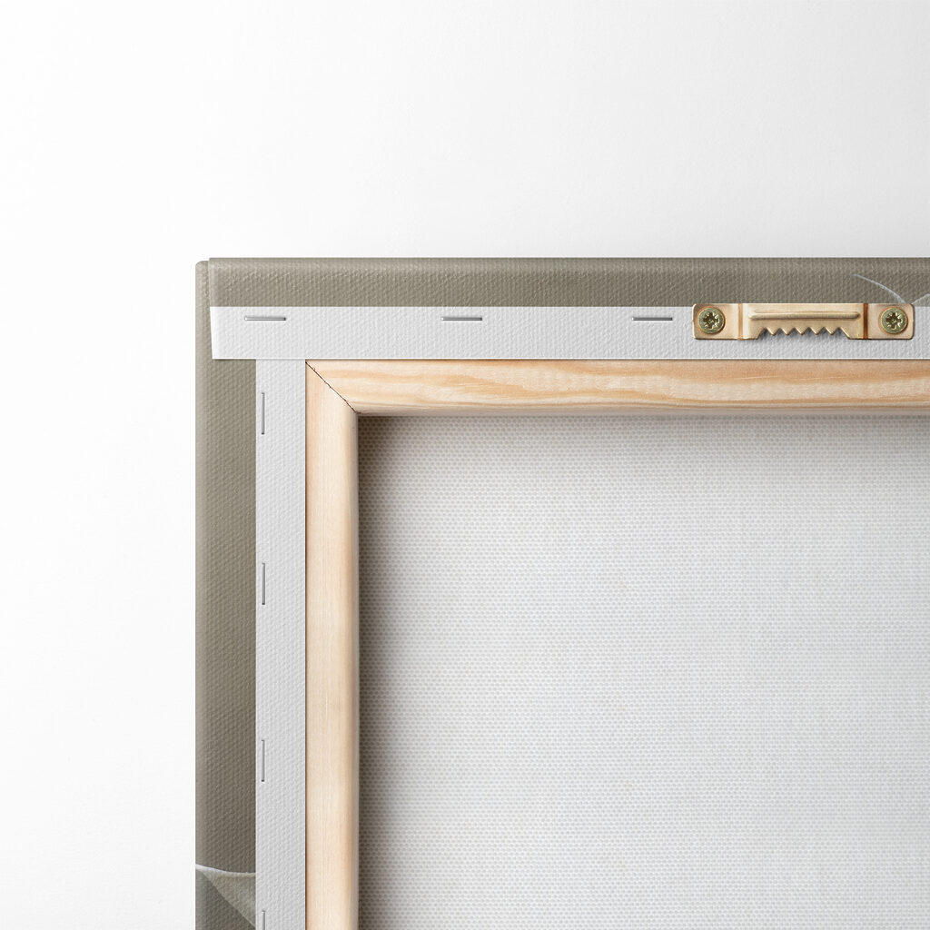 A white flower with a yellow center