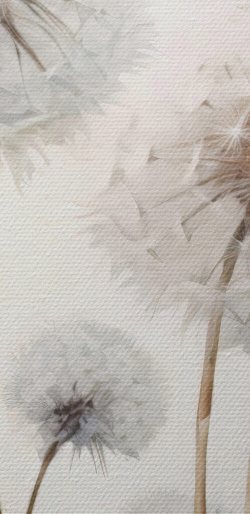 A group of dandelions in a field