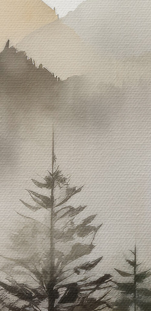 A foggy mountain range with trees