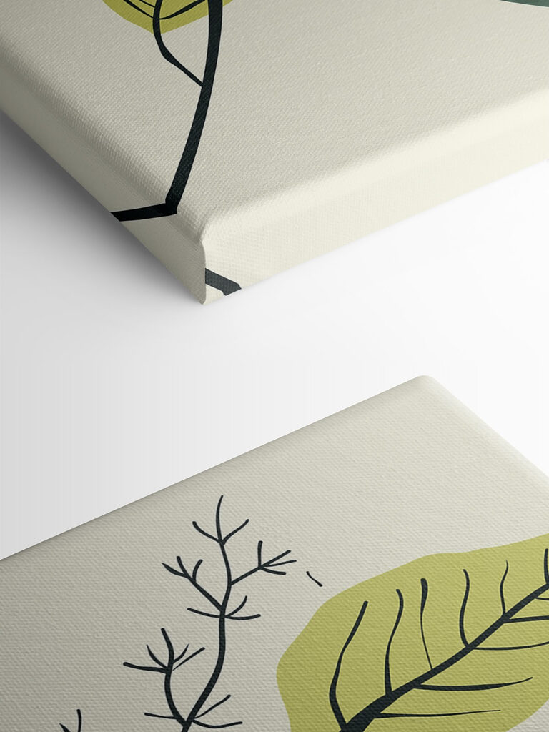 A close up of a plant A close up of a plant