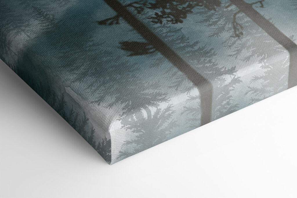 A group of trees in the mountains