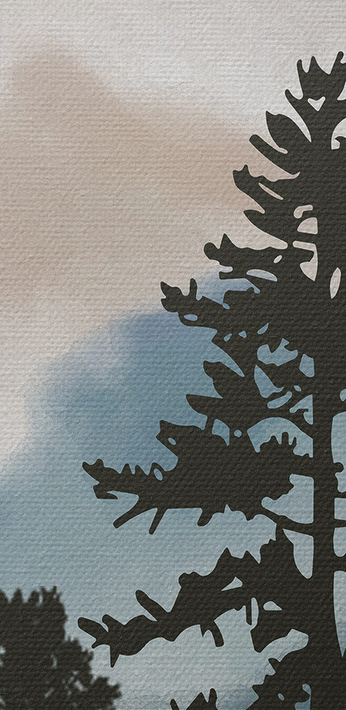 A group of trees in the mountains