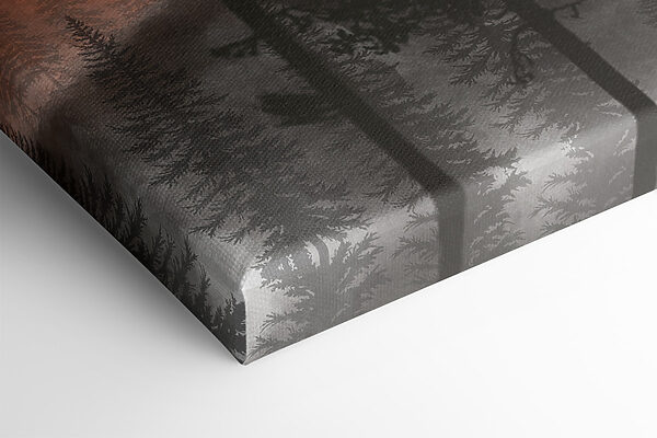 A group of trees in the mountains