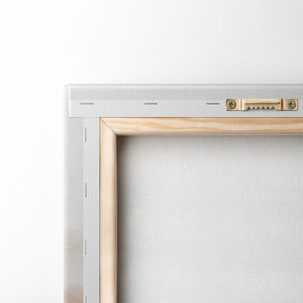 A group of trees in the mountains