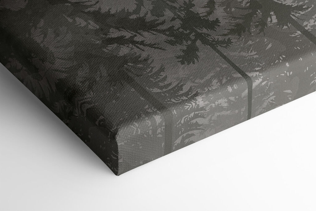 A group of trees in a forest