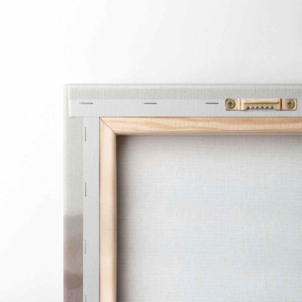 A group of trees in a forest