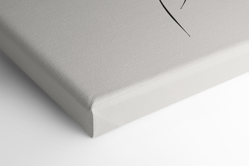 A colorful circles and lines A colorful circles and lines