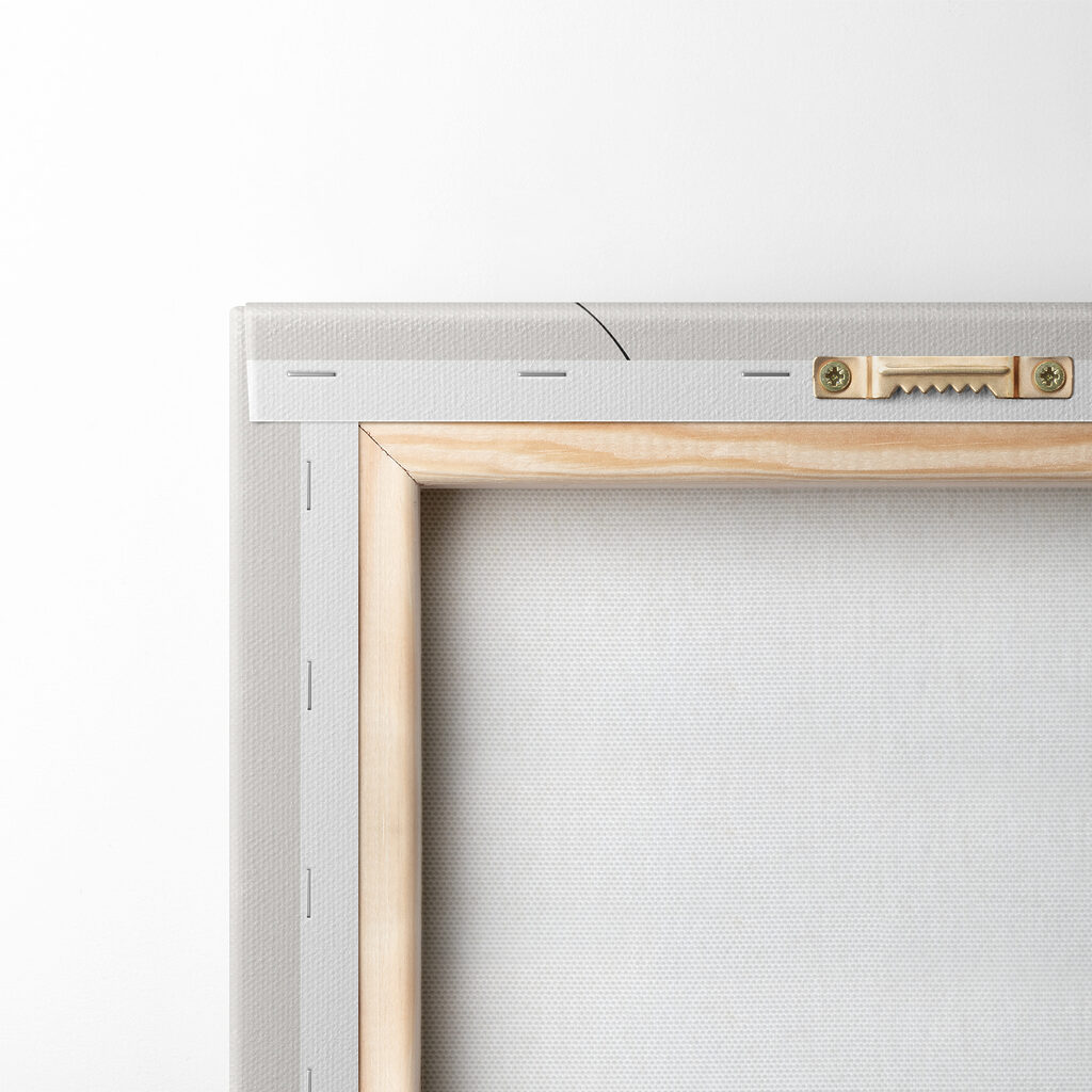 A colorful circles and lines A colorful circles and lines