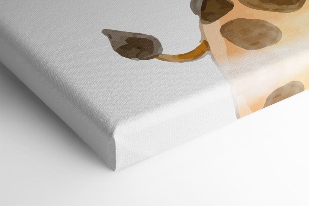 A giraffe with a white background A giraffe with a white background