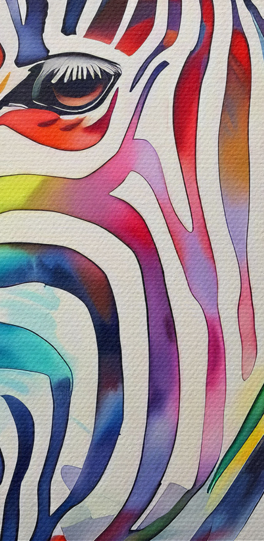 Kolorowa zebra z tęczowymi kolorami