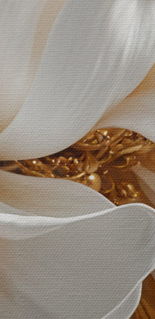 Elegant white flower with subtle details Elegant white flower with subtle details