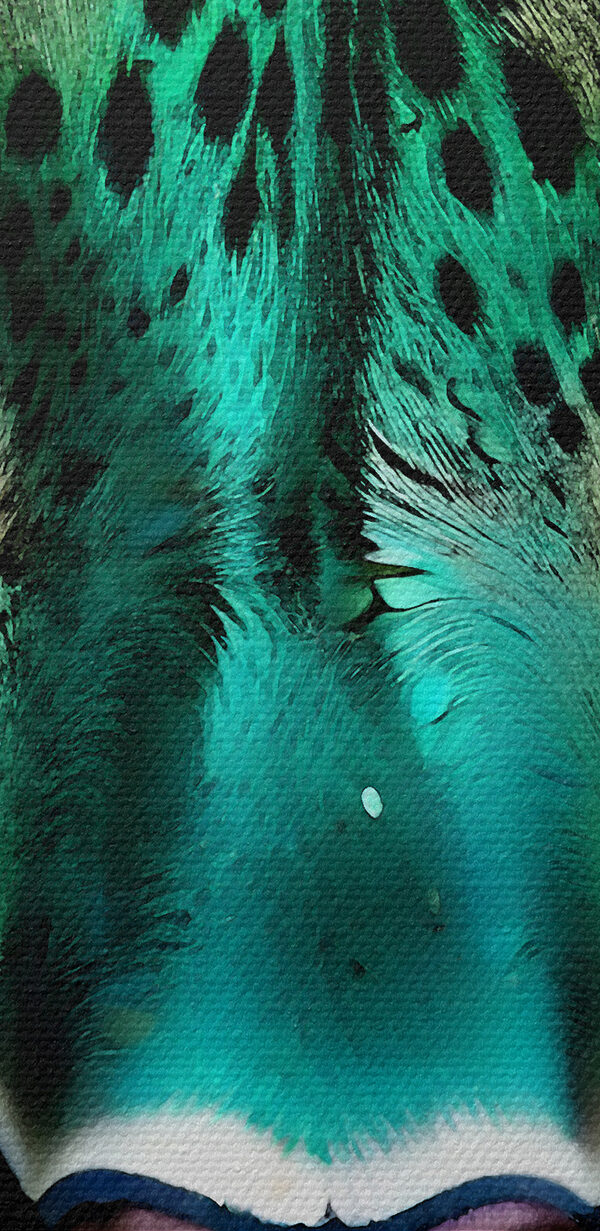 Vibrant leopard with striking eyes