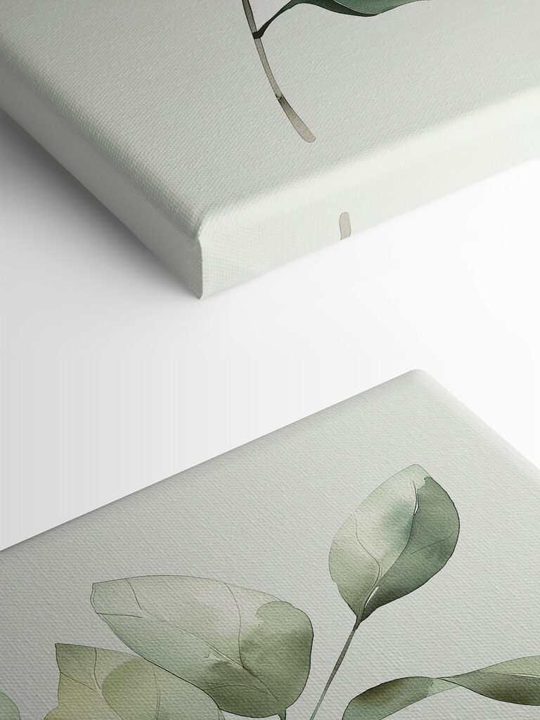 Green leafy plant with a white background