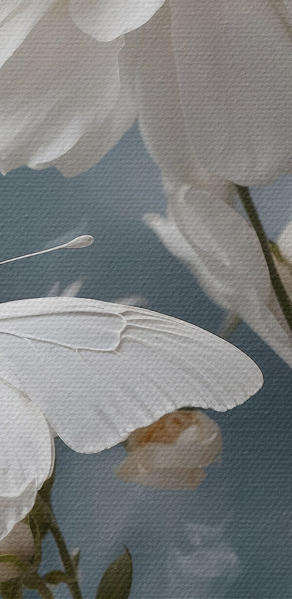 Motyl na kwiatku Motyl na kwiatku