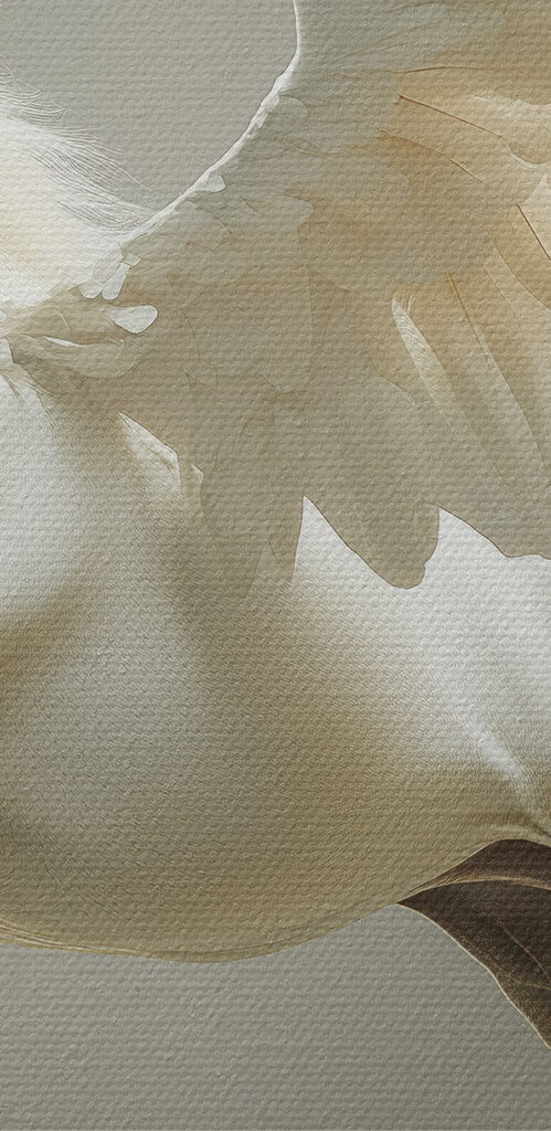 White horse with wings