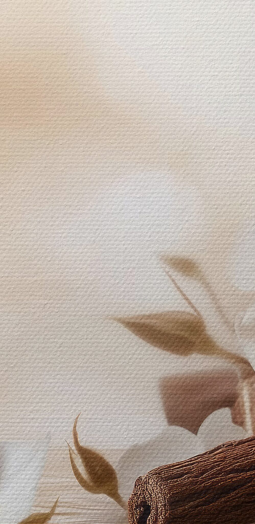 Group of white roses and cinnamon sticks in water Group of white roses and cinnamon sticks in water