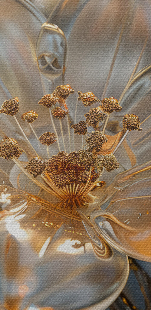 Delicate blossoms in soft hues Delicate blossoms in soft hues