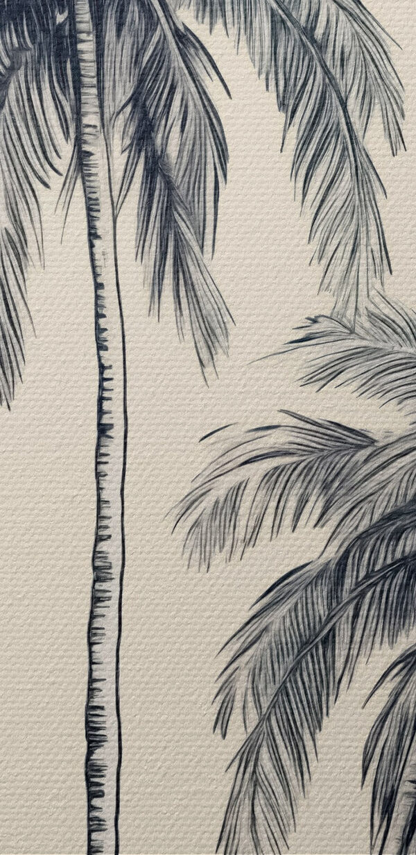 Grupa palm Grupa palm