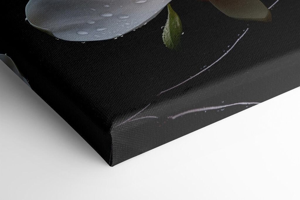 Delicate blossoms adorned with droplets