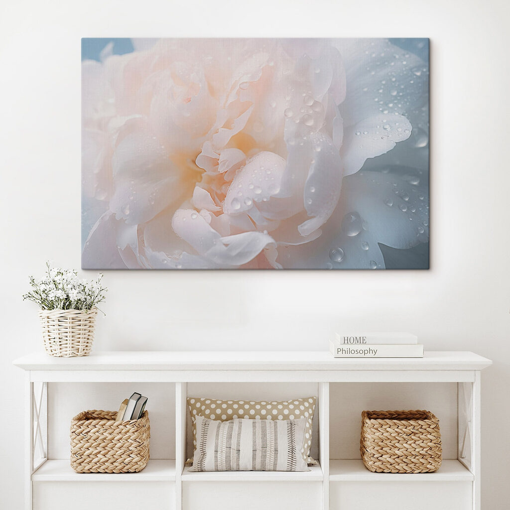 Delicate petals with glistening droplets