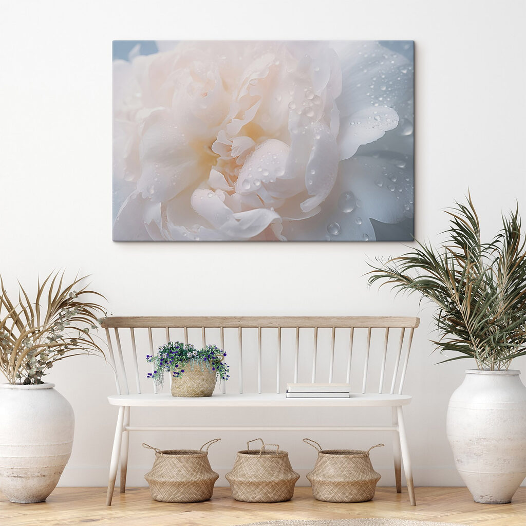 Delicate petals with glistening droplets