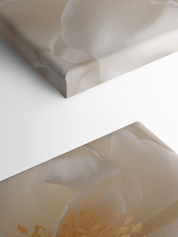 Delicate petals in soft hues