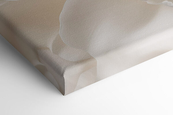 Delicate petals in soft hues