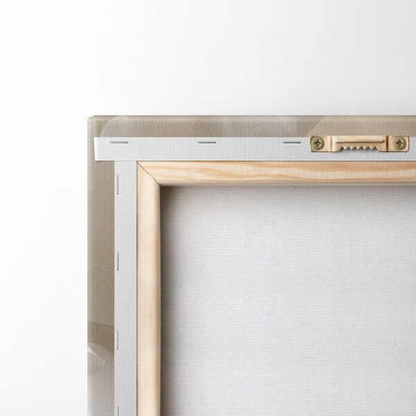 Delicate petals in soft hues