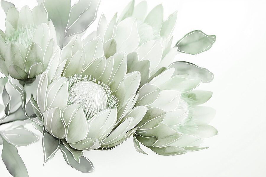 Soft petals in gentle hues Soft petals in gentle hues
