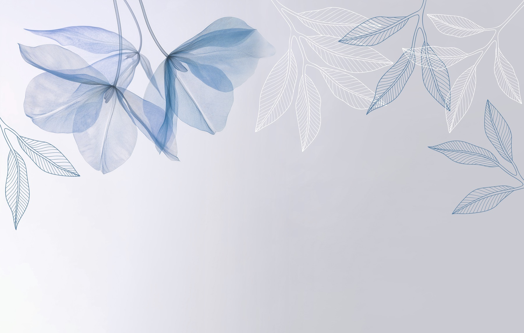 Blue and white leaves