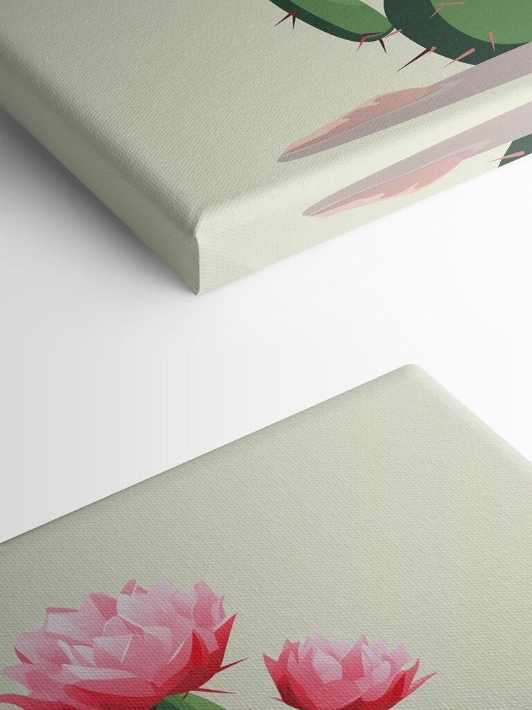 Cactus with pink flowers