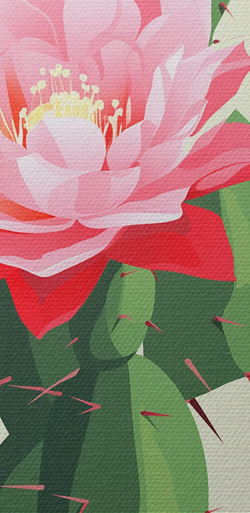 Cactus with pink flowers