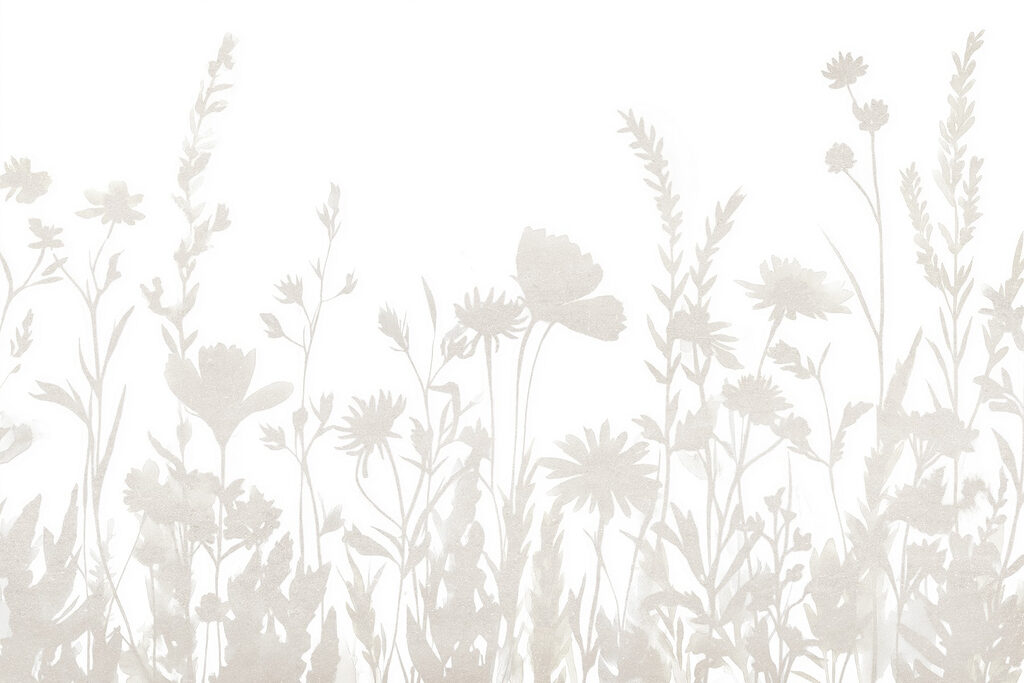 White background with flowers