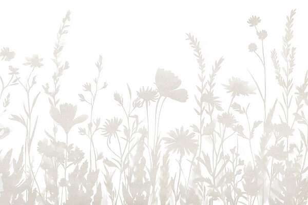 White background with flowers