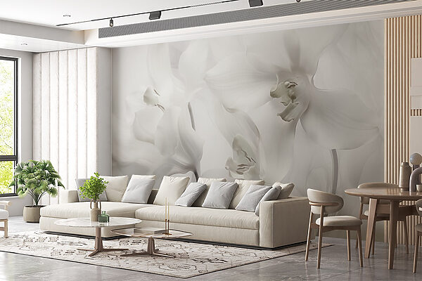 Delikatne białe orchidee w miękkim świetle Delikatne białe orchidee w miękkim świetle