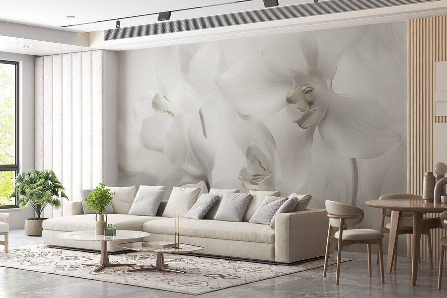 Delikatne białe orchidee w miękkim świetle