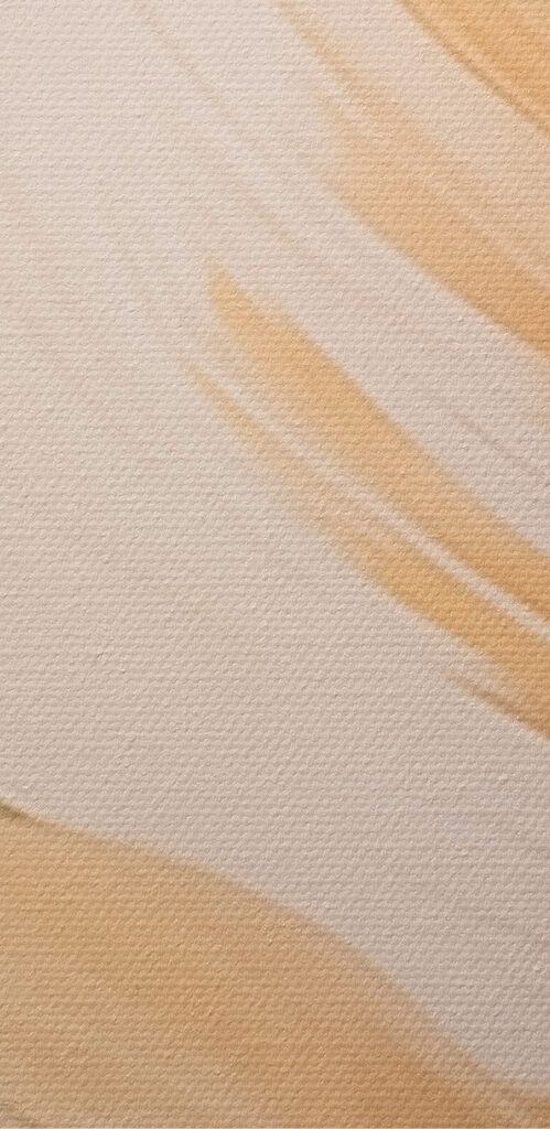 Soft hues of nature's beauty