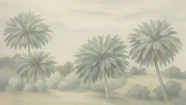 Grupa palm Grupa palm
