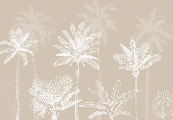 Grupa palm Grupa palm