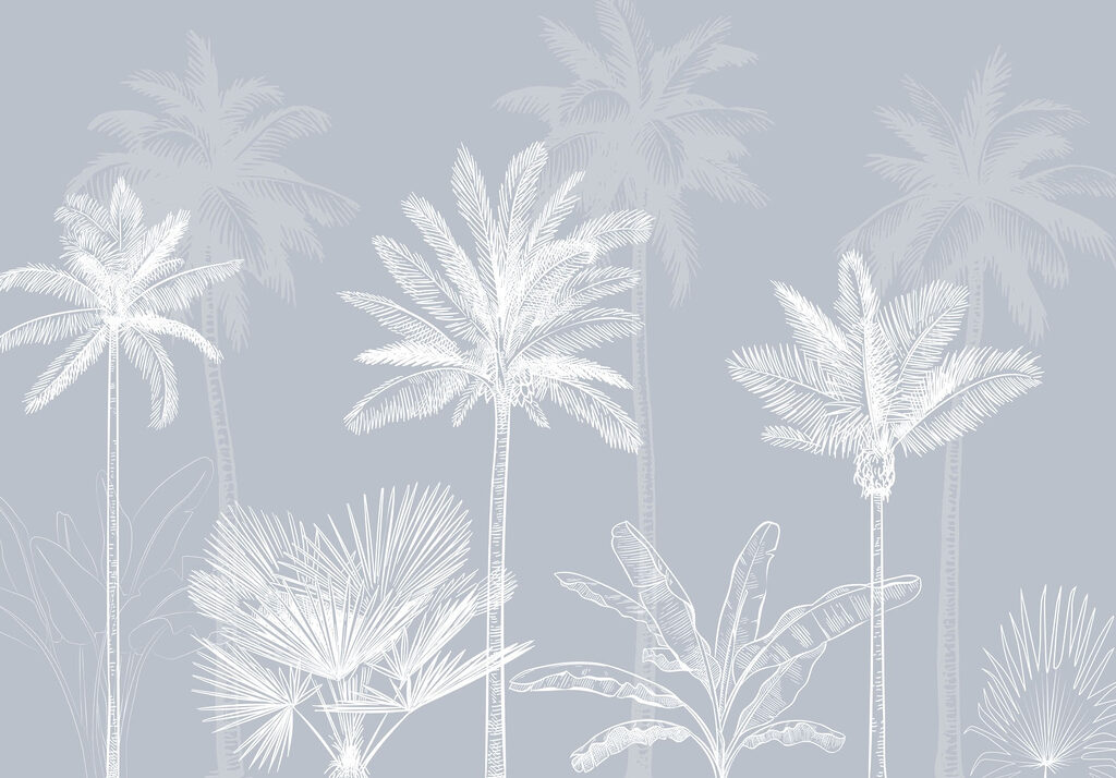 Grupa palm Grupa palm