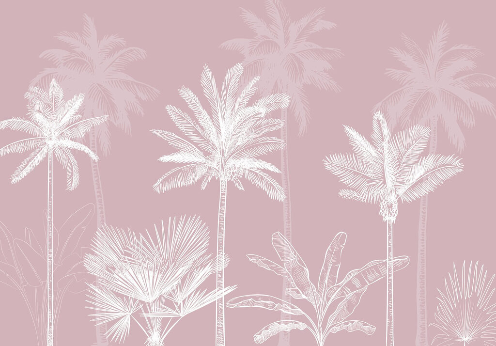 Grupa palm Grupa palm